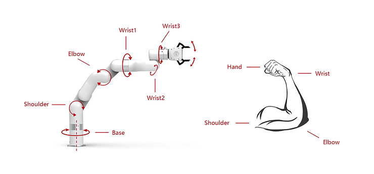 What is A Robot Arm? 