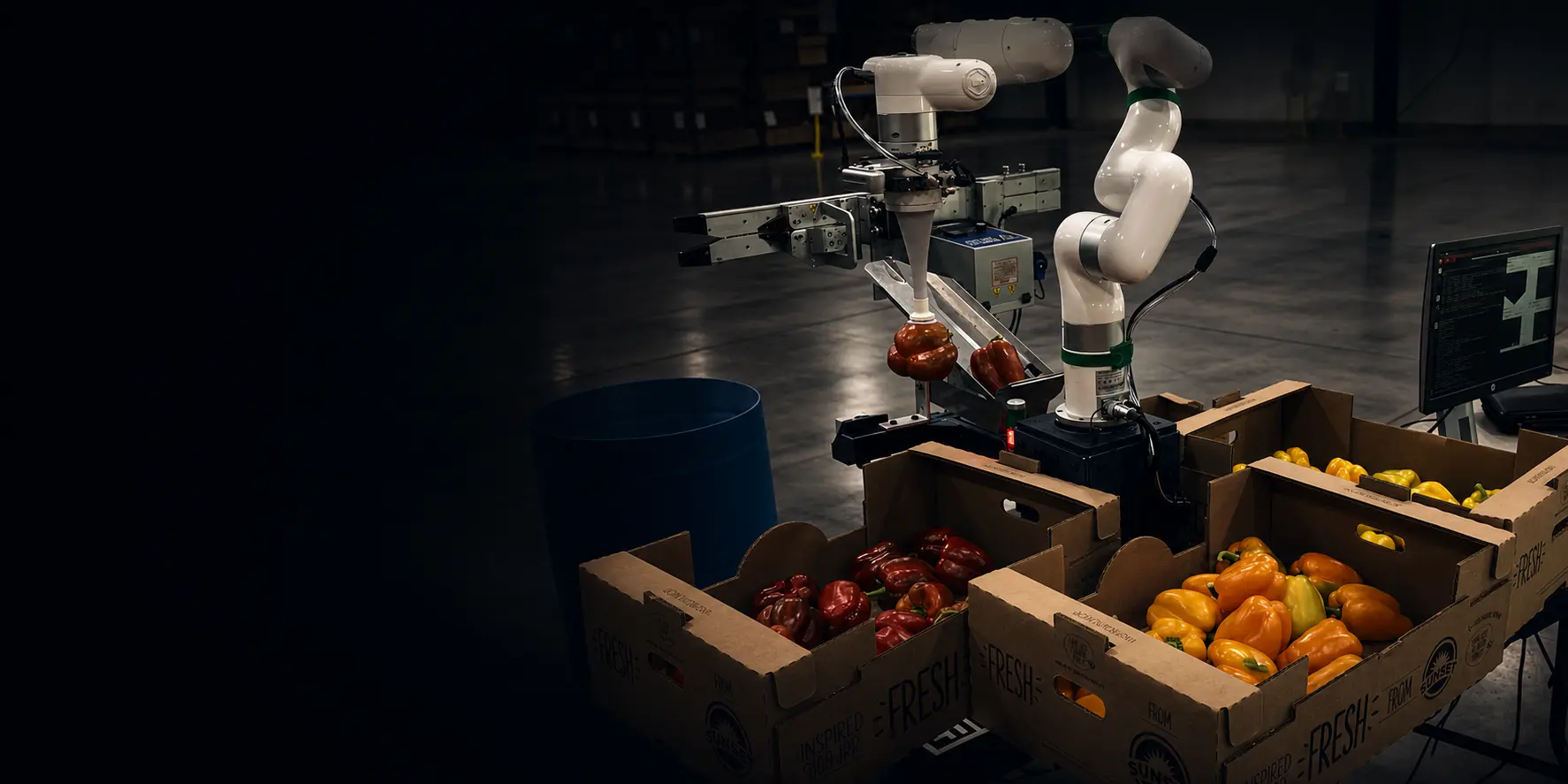 xArm cobot performs vision-guided sorting of bell peppers from multiple produce boxes