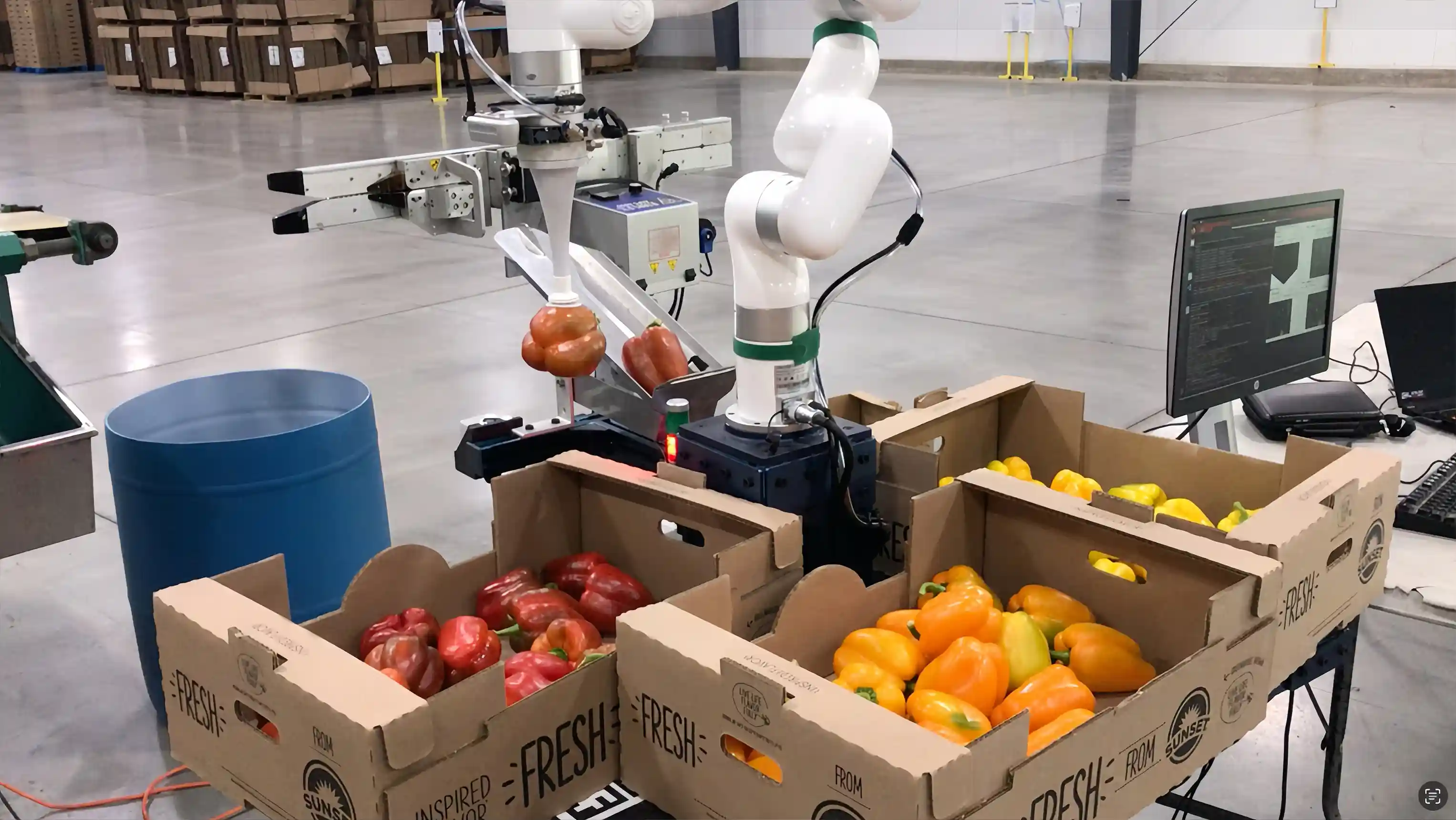 视觉引导的UFACTORY xArm协作机器人分拣红、橙、黄彩椒并装箱