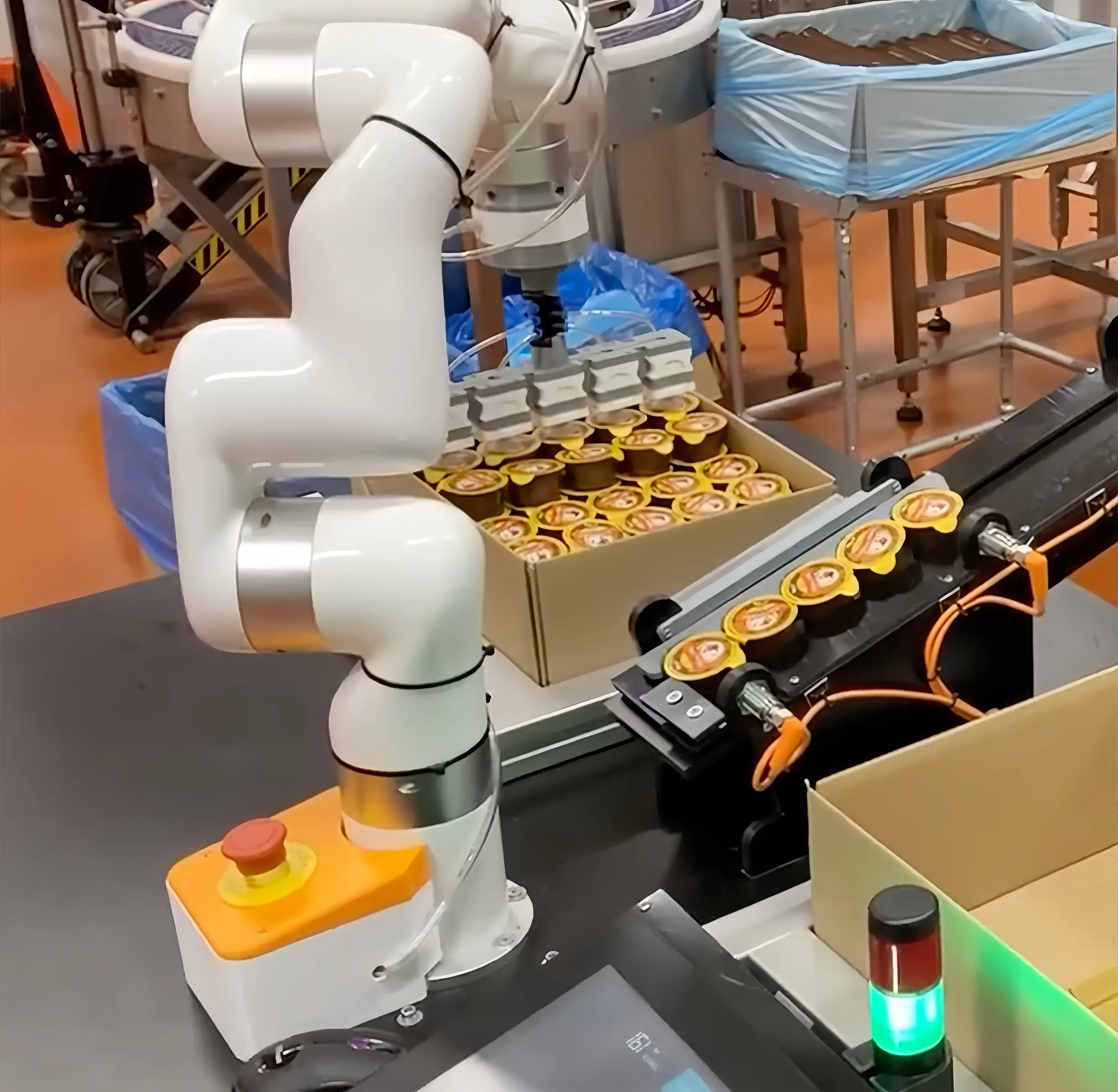 UFACTORY xArm机械臂将多个食品容器精准放入包装线纸箱内的特写