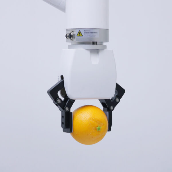 Gripper G2