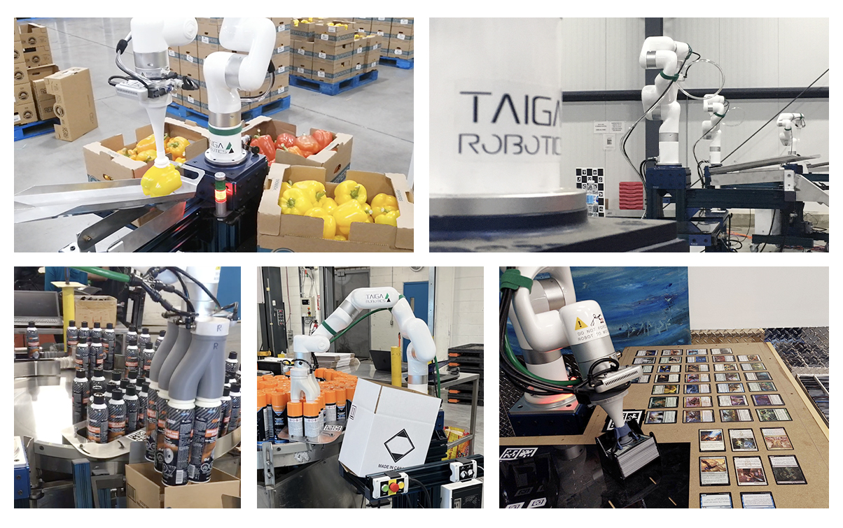 Taiga Robotics