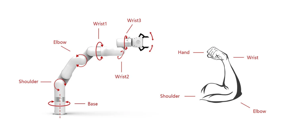 different joints of robot arm